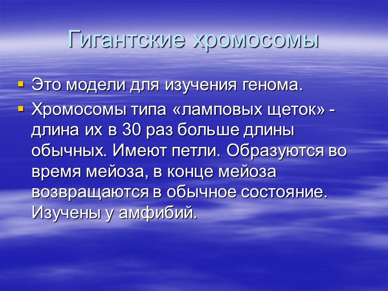 Гигантские хромосомы Это модели для изучения генома. Хромосомы типа «ламповых щеток» - длина их